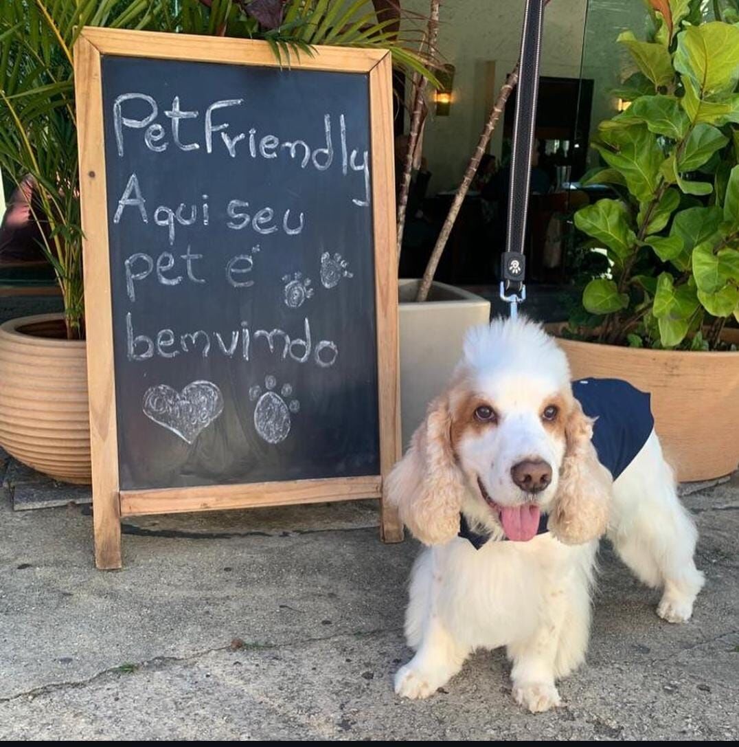 Cachorro ao lado da lousa Pet Friendly do Massa Fina